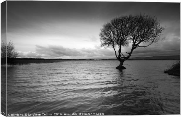 Kenfig Pool Canvas Print by Leighton Collins