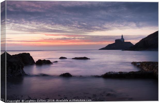 Good morning Mumbles Canvas Print by Leighton Collins