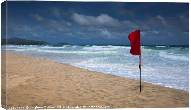 No Swimming Canvas Print by Leighton Collins