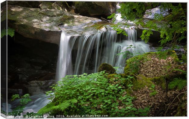 Melincourt small falls Canvas Print by Leighton Collins