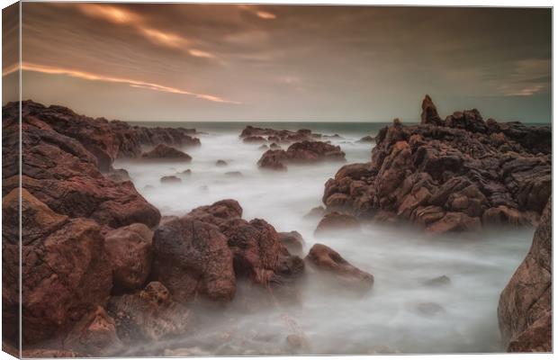 Jagged Rotherslade rocks Canvas Print by Leighton Collins