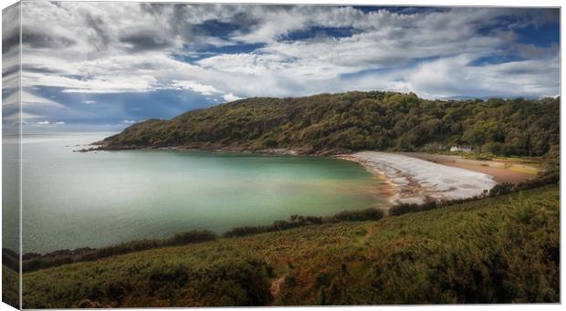 Pwll Du Bay Gower Canvas Print by Leighton Collins