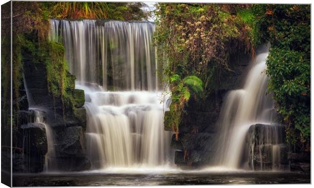 Penllergare waterfall Canvas Print by Leighton Collins
