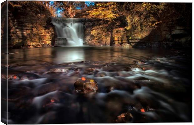 Neath Abbey waterfalls Canvas Print by Leighton Collins