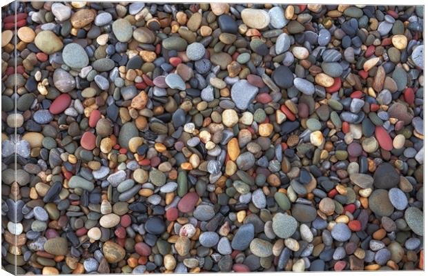 Small pebbles Canvas Print by Leighton Collins