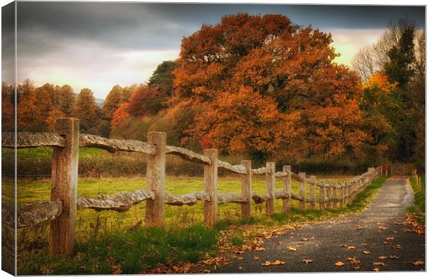 Rustic wooden fence Canvas Print by Leighton Collins