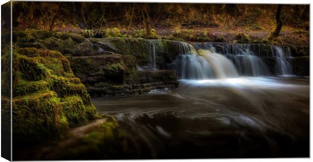 Afon Pyrddin waterfall Pontneddfechan Canvas Print by Leighton Collins