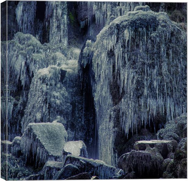 Frozen rocks and icicles Canvas Print by Leighton Collins