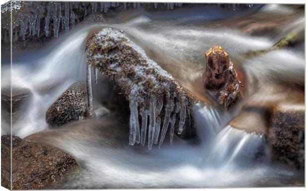 Icicles in a stream Canvas Print by Leighton Collins