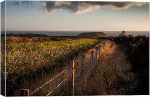 Rhossili fields Canvas Print by Leighton Collins