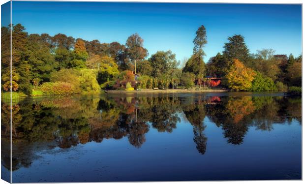 Brynmill Park reflections Canvas Print by Leighton Collins