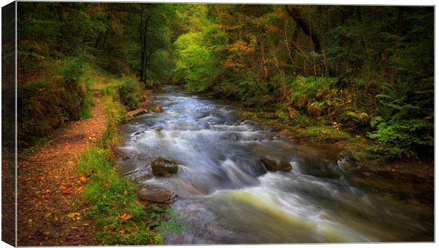 The Upper Clydach River in Pontardawe, Swansea Canvas Print by Leighton Collins