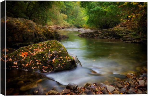 Autumn river in South Wales Canvas Print by Leighton Collins