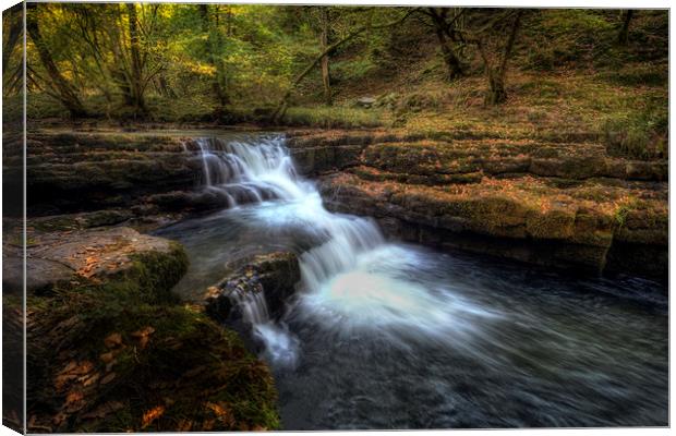 Waterfall country South Wales Canvas Print by Leighton Collins