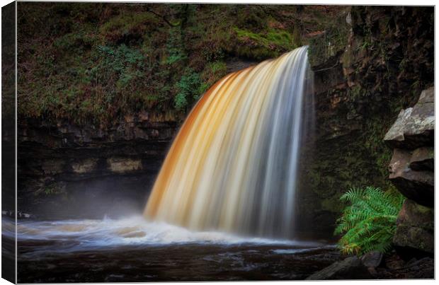 Lady Falls in full flow Canvas Print by Leighton Collins
