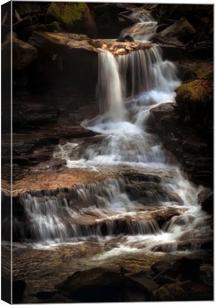 Melincourt Brook waterfall Canvas Print by Leighton Collins