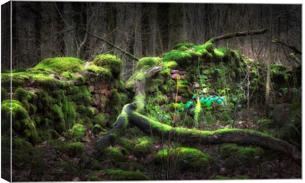 Old moss covered wall Canvas Print by Leighton Collins