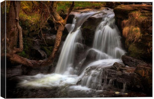 Cascading water at Blaen y Glyn  Canvas Print by Leighton Collins