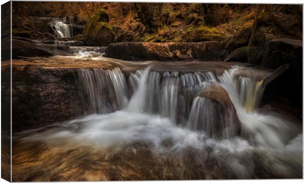 Valley of waterfalls at Blaen y Glyn  Canvas Print by Leighton Collins