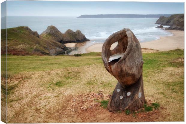 Shell Sculpture at Three Cliffs Bay Canvas Print by Leighton Collins