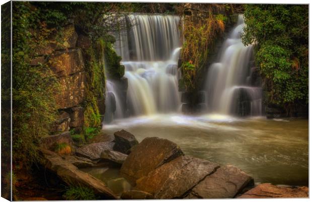 The waterfall at Penllergare Canvas Print by Leighton Collins