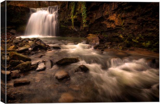Brecon waterfall South Wales Canvas Print by Leighton Collins