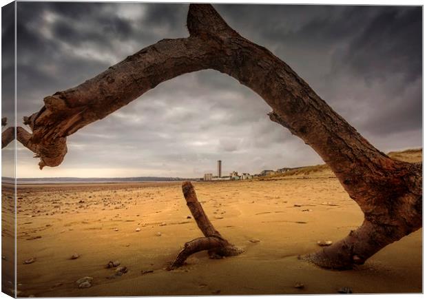Driftwood on Swansea Bay Canvas Print by Leighton Collins