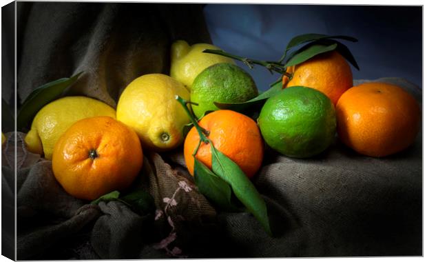 Lemons, limes and satsumas Canvas Print by Leighton Collins