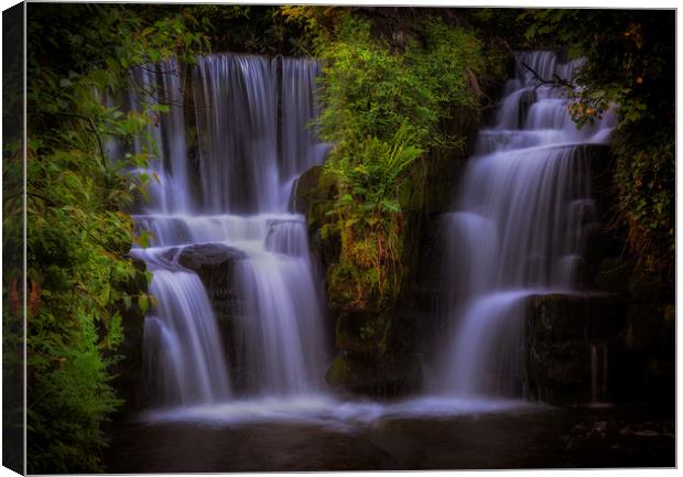 Penllergare waterfall on the Afon Llan river Canvas Print by Leighton Collins