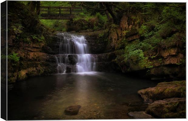 Dinas Rock waterfall Canvas Print by Leighton Collins