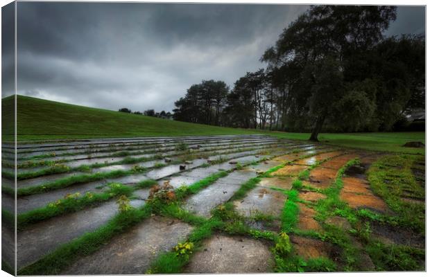 Ravenhill park in the rain Canvas Print by Leighton Collins