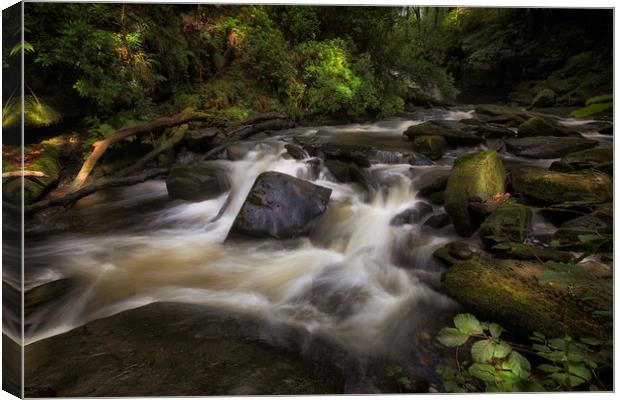 The Upper Clydach River in Swansea Canvas Print by Leighton Collins