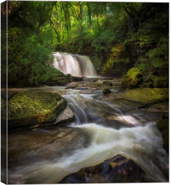 The Upper Clydach River waterfall in Swansea Canvas Print by Leighton Collins