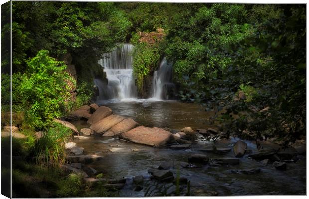 Penllergare Woods waterfall Canvas Print by Leighton Collins