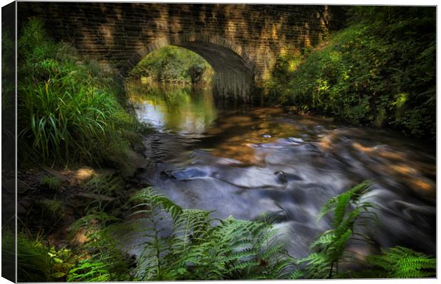 Bridge over the Afon Llan river Canvas Print by Leighton Collins