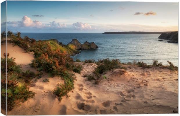 The sand dunes overlooking Three Cliffs Bay Canvas Print by Leighton Collins