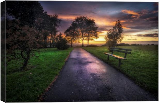 Ravenhill park sunset Canvas Print by Leighton Collins