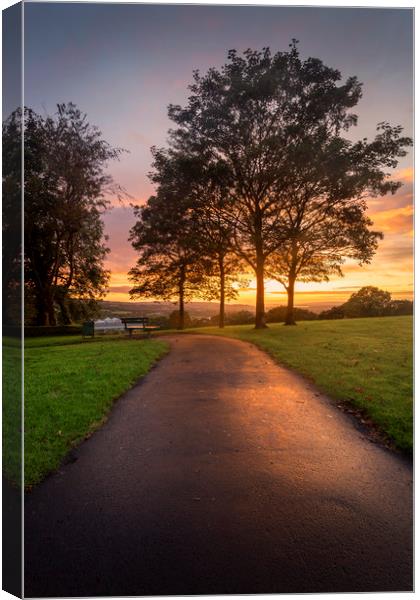 A path at dusk in Ravenhill park Canvas Print by Leighton Collins
