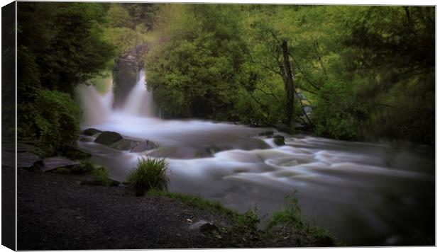 Swollen waterfall at Penllergare Valley Woods Canvas Print by Leighton Collins
