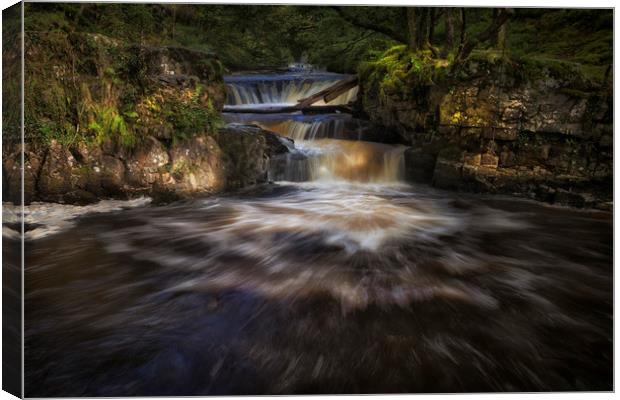 Rushing water at Horseshoe falls Canvas Print by Leighton Collins