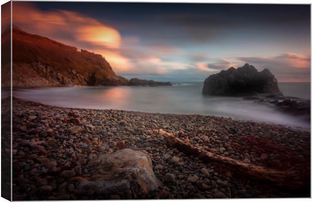 Rotherslade Bay on the Gower peninsula Canvas Print by Leighton Collins