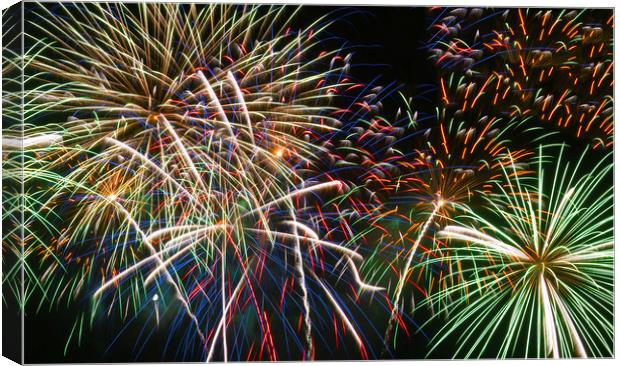 Swansea's 50th anniversary firework display Canvas Print by Leighton Collins