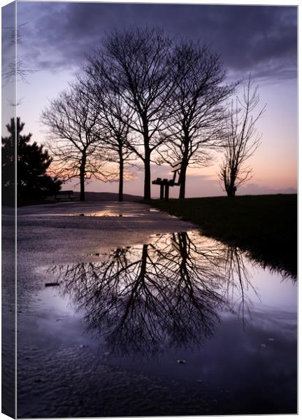 Dusk at Ravenhill park Canvas Print by Leighton Collins