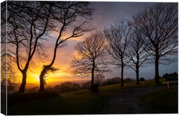 Bare trees and a sunset Canvas Print by Leighton Collins