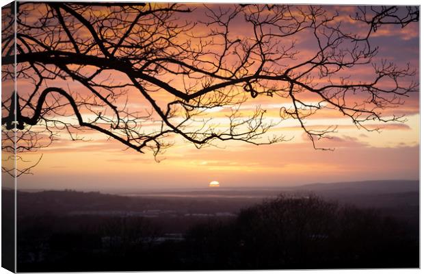 Winter trees and a sunset Canvas Print by Leighton Collins
