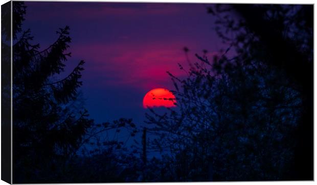 A big red setting sun Canvas Print by Leighton Collins