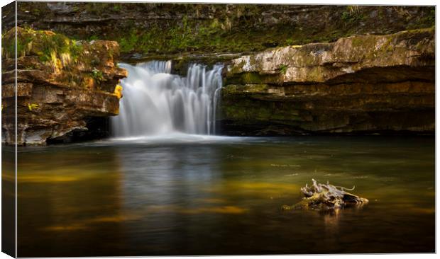 River Tawe waterfall Canvas Print by Leighton Collins