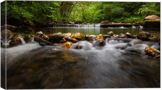 The Afon Twrch river at Cwmllynfell Canvas Print by Leighton Collins