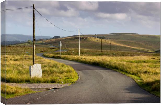 Welsh mountain road Canvas Print by Leighton Collins
