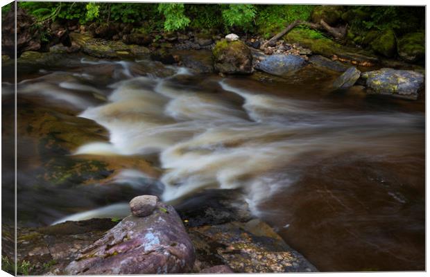 Long exposure on the Twrch river Canvas Print by Leighton Collins